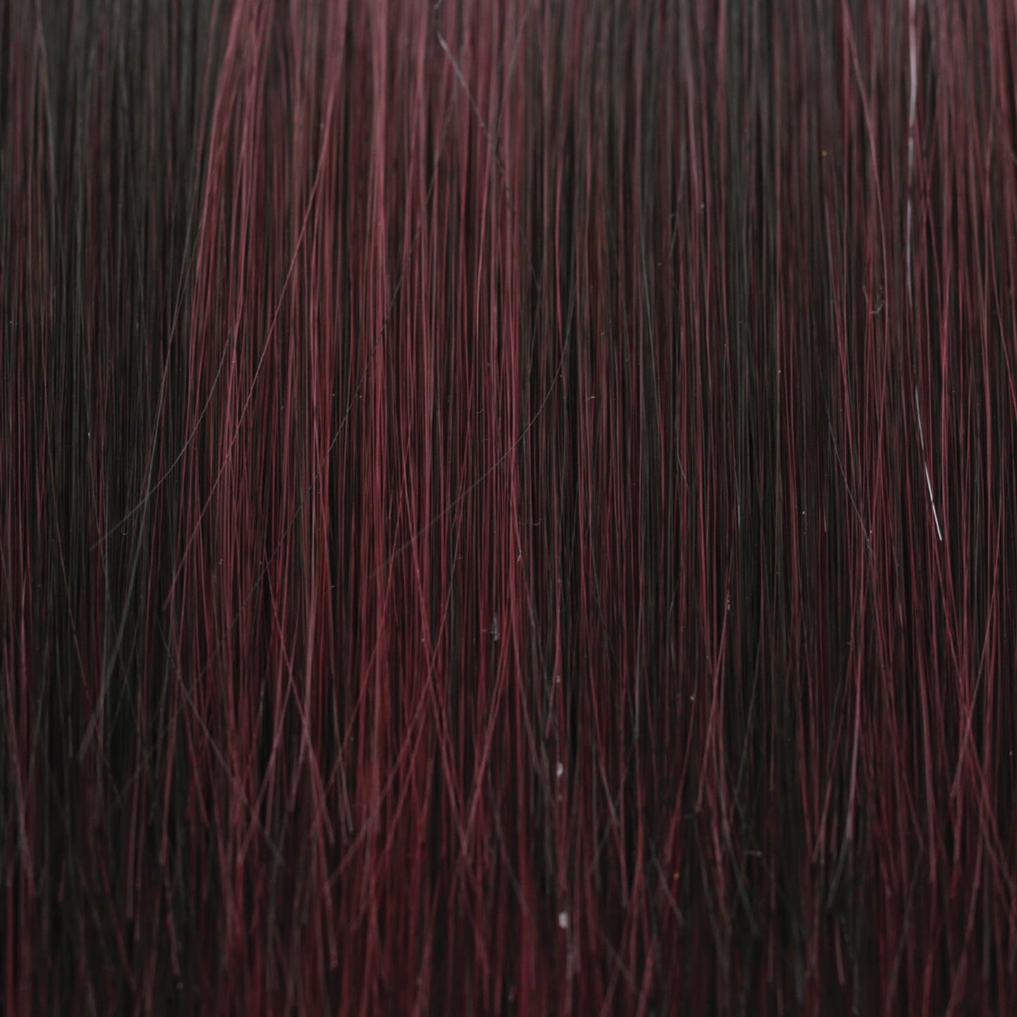 Feathered Bob by Tressallure