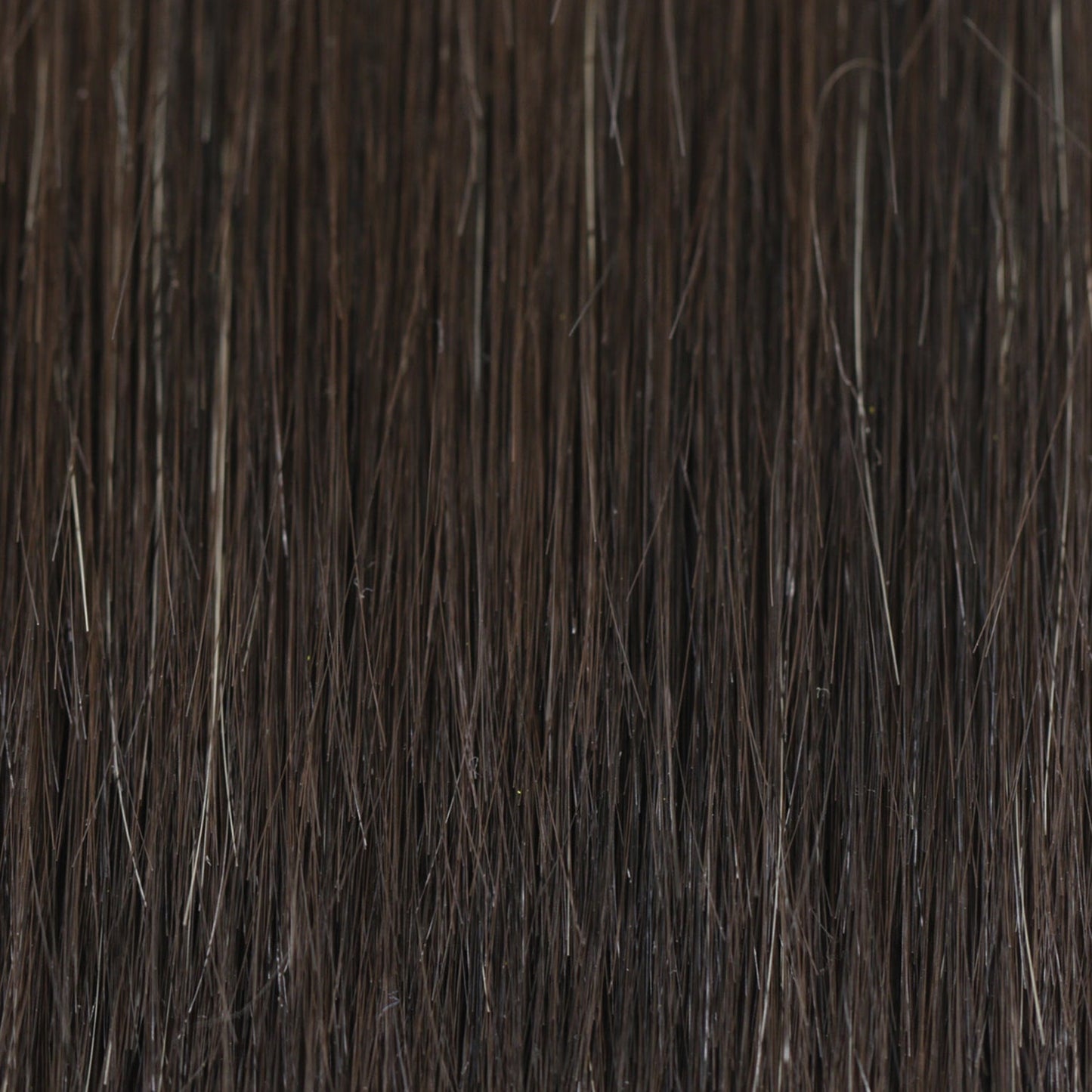 Feathered Bob by Tressallure