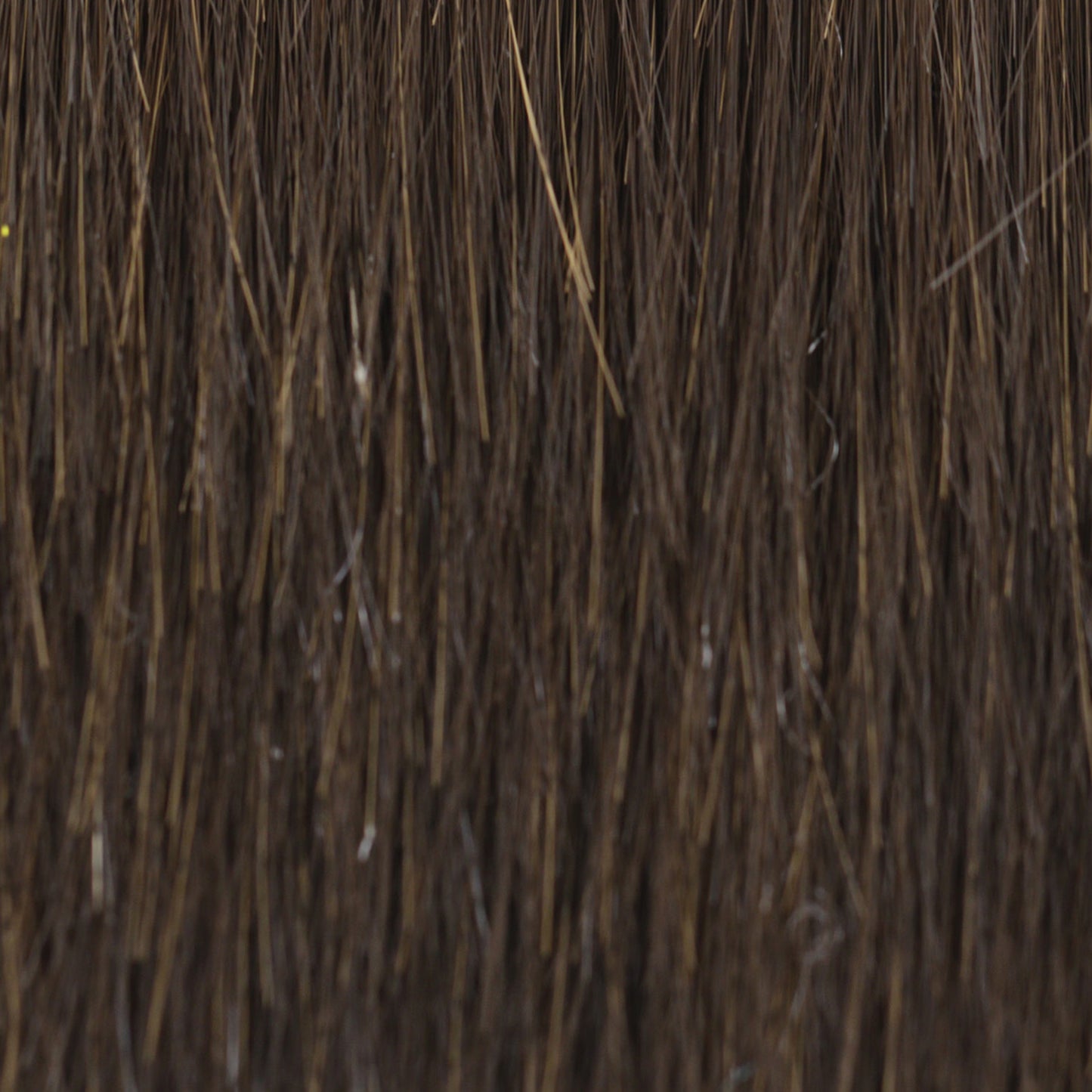 Soft Curls by Tressallure