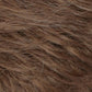 PONYTAIL SPRING CLIP - WCLC9 by Estetica
