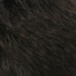 Ponytie by Estetica