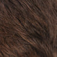 PONYTAIL SPRING CLIP - WCLC9 by Estetica